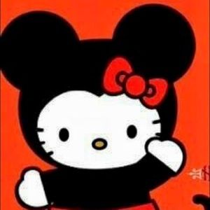 Meet your Posher, Rumi